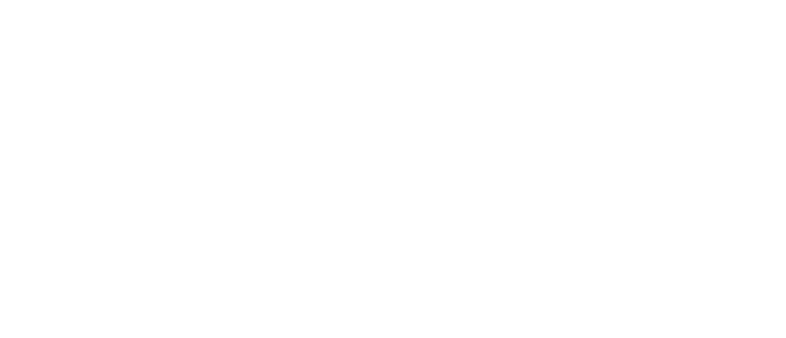 Meta Business Partner Oficial